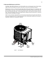 Preview for 31 page of Pentair ThermalFlo User Manual