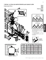 Предварительный просмотр 17 страницы Pentair TRITON II TR 100 Installation And User Manual