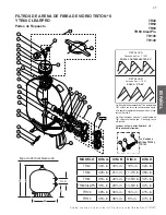 Предварительный просмотр 41 страницы Pentair TRITON II TR 100 Installation And User Manual