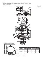 Предварительный просмотр 46 страницы Pentair TRITON II TR 100 Installation And User Manual