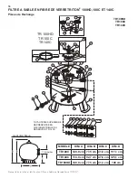 Предварительный просмотр 68 страницы Pentair TRITON II TR 100 Installation And User Manual