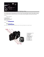 Pentax Data LX Quick Help/Reference Manual предпросмотр