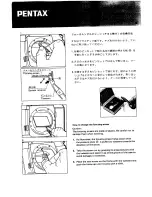 Pentax SF-1n Operating Manual предпросмотр