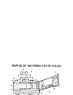 Preview for 121 page of Pentax Z-1 Interchangeable Focusing Screens Operating Manual