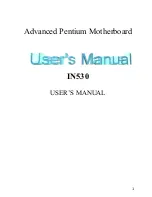 Предварительный просмотр 1 страницы Pentium IN530 User Manual