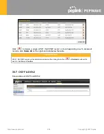 Предварительный просмотр 289 страницы peplink PEPWAVE BR1 Classic User Manual
