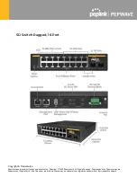 Предварительный просмотр 7 страницы peplink PEPWAVE SD Switch 48-Port User Manual