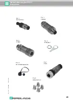 Предварительный просмотр 29 страницы Pepperl+Fuchs LS611 Series Manual