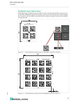 Preview for 19 page of Pepperl+Fuchs PGV100R-F200-B16 Series Manual