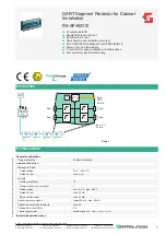 Pepperl+Fuchs R3-SP-IBD12 Installation preview