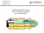 PEPPERS CR-C Series Installation Manual preview