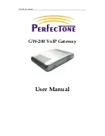 Perfectone GW-200 User Manual preview