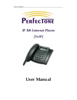 Preview for 1 page of Perfectone IP 300 User Manual