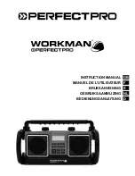 PERFECTPRO Workman Instruction Manual preview