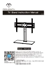 Perlesmith PSTVS21 Instruction Manual preview