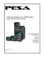 PESA Cheetah 1024x256 Manual предпросмотр