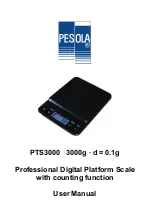 Preview for 4 page of PESOLA PTS3000 User Manual