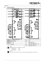 Preview for 19 page of Peter electronic VersiStart i III Commissioning Instructions