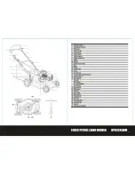 Предварительный просмотр 6 страницы Petrol DPK434LWM Safety And Operating Manual