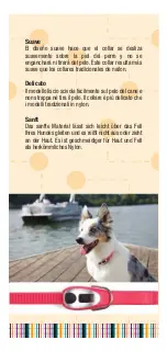 Preview for 9 page of Petsafe cinch-it Medium Manual