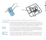 Предварительный просмотр 53 страницы Petsafe Classic In-Ground Fence Manual