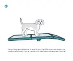 Preview for 9 page of Petsafe Happy Ride WOOD SOFA RAMP Quick Start Manual