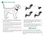 Preview for 23 page of Petsafe PIG00-17440 Manual