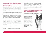 Preview for 65 page of Petsafe Staywell 800 Series User Manual