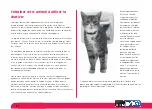 Preview for 15 page of Petsafe Staywell Deluxe Magnetic 400 Series User Manual