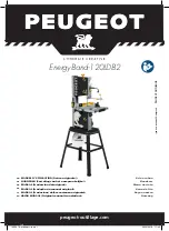 PEUGEOT EnergyBand-120LDB2 Manual preview