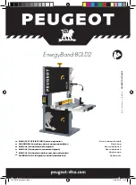 PEUGEOT EnergyBand-80LD2 User Manual preview