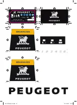 Preview for 16 page of PEUGEOT EnergyMix-18VBL Using Manual