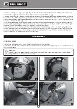 Preview for 101 page of PEUGEOT EnergySaw 254DB Operating Instructions Manual