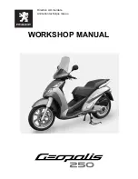 PEUGEOT Geopolis 250 Workshop Manual preview