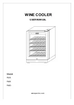 Pevino P22S User Manual preview