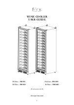 Pevino PBI100D User Manual предпросмотр