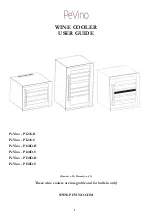 Pevino PI24S-B User Manual preview