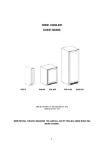 Preview for 1 page of Pevino PN166D User Manual