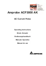 Preview for 1 page of PEWA Amprobe ACF3000 AK Operating Instructions Manual