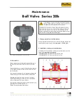 Pfeiffer 20b Series Maintenance предпросмотр