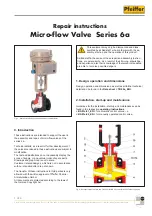 Pfeiffer Series 6a Repair Instructions preview