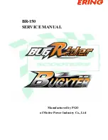 PGO BR-150 Bug Rider Service Manual preview