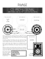 Phase-Tech CS PROFESSIONAL CS-6R Owner'S Manual preview