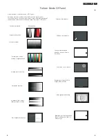 Предварительный просмотр 31 страницы Philips 244ESB/00 Service Manual