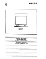 Preview for 1 page of Philips 25GR9765 Manual