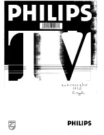 Philips 25PT522B User Manual предпросмотр