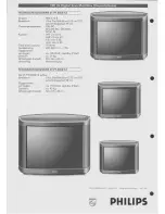 Preview for 4 page of Philips 25PT8302/19 (Dutch) Specifications