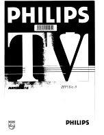 Philips 28PT845A User Manual предпросмотр