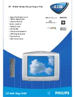 Preview for 1 page of Philips 29PT 8306 Technical Specifications