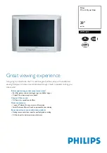 Philips 29PT3223 Technical Specifications preview